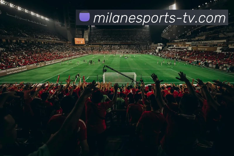 米兰电竞TV平台生态图